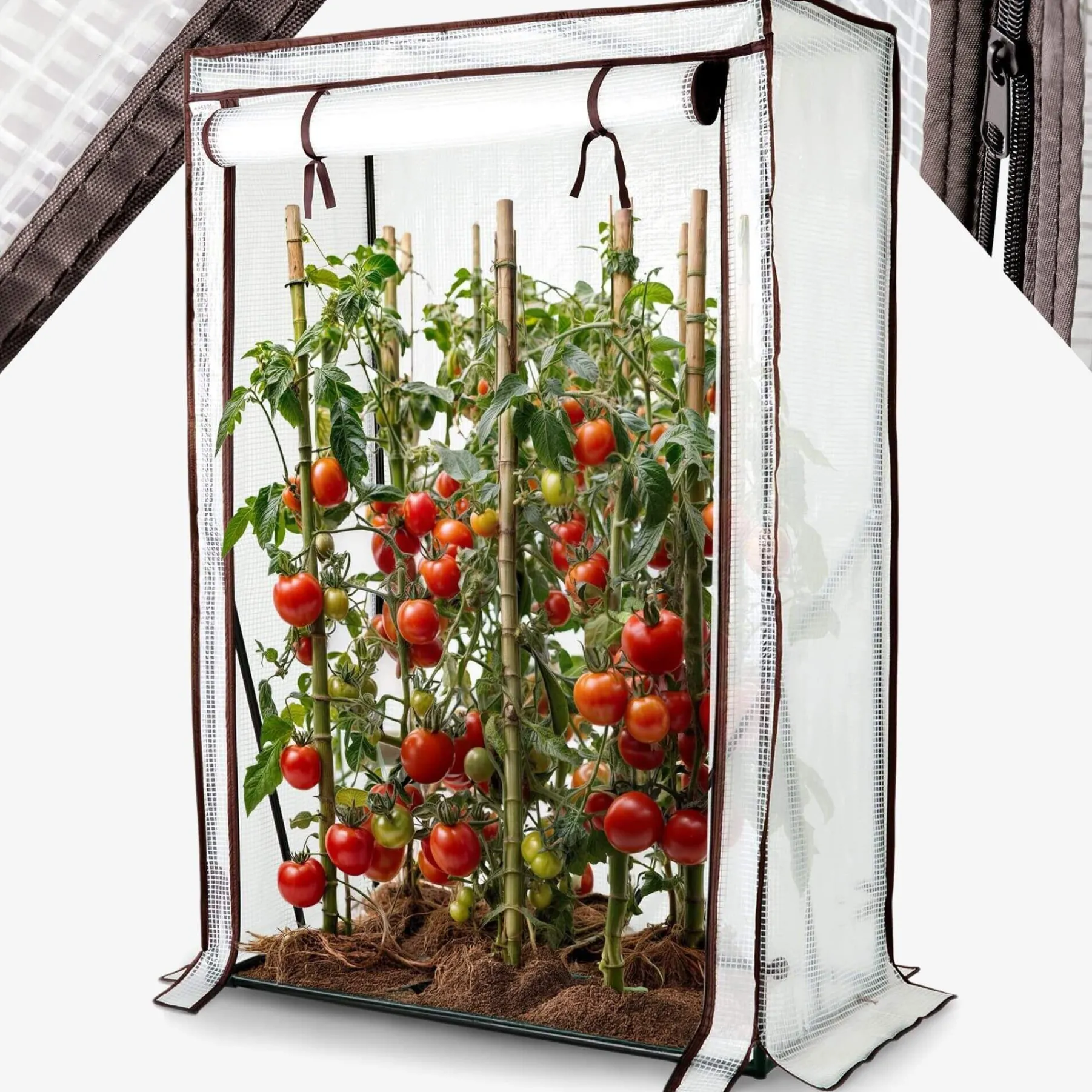 Tomatengewächshaus 100 x 50 x 150 cm